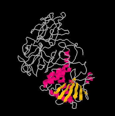 The poly-aminoacid chains and folds of Ricin